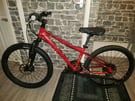 Carrera blast mountain bike