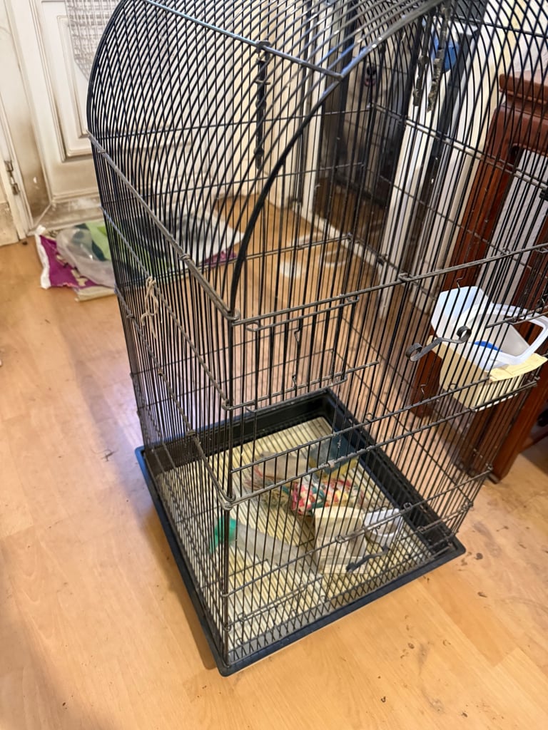 Bird cage