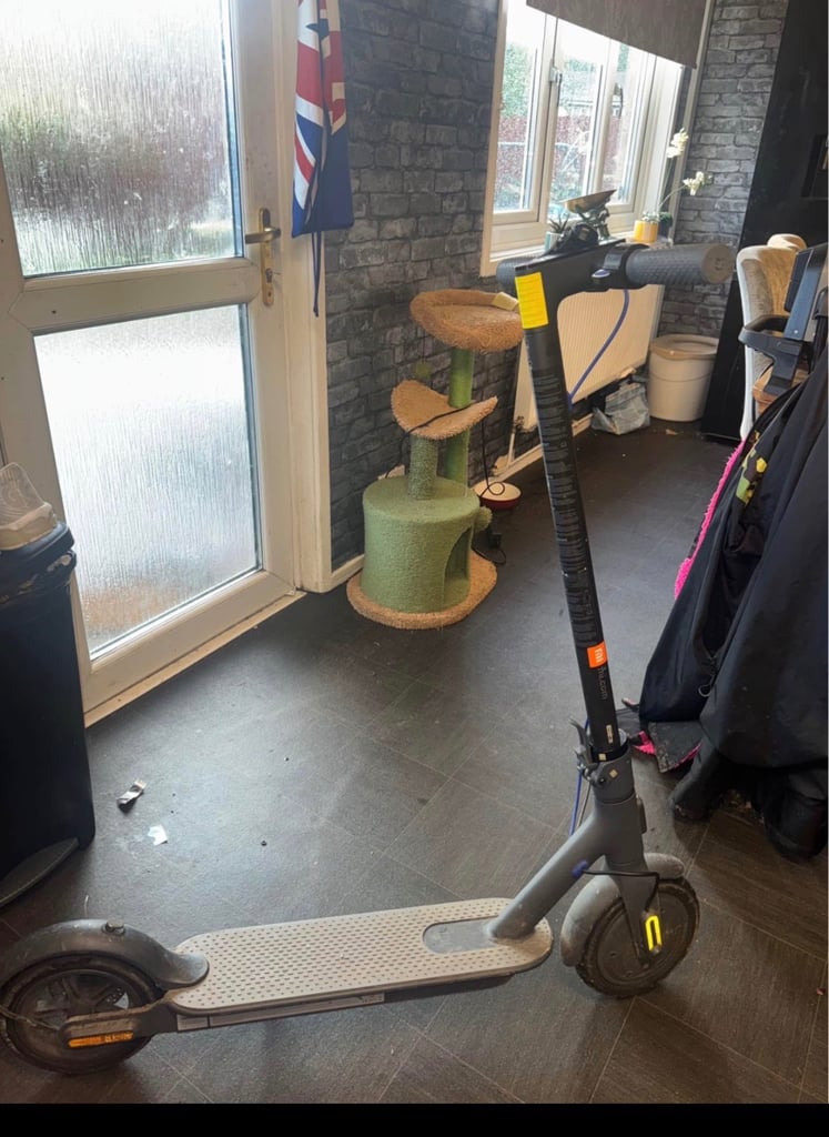 electric scooter 