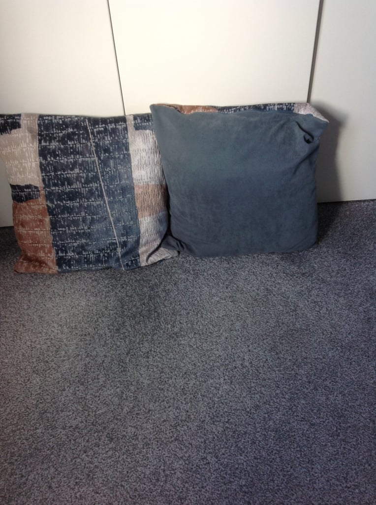 image for A pair of NEXT Cushions 