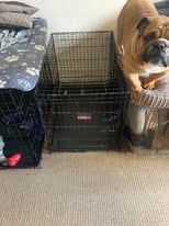 Two large dogs crates 