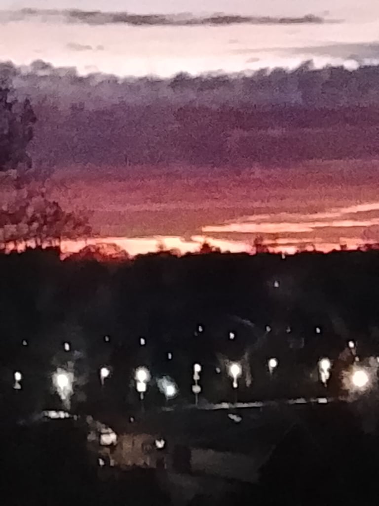 image for Garden/painting/window cleaning 