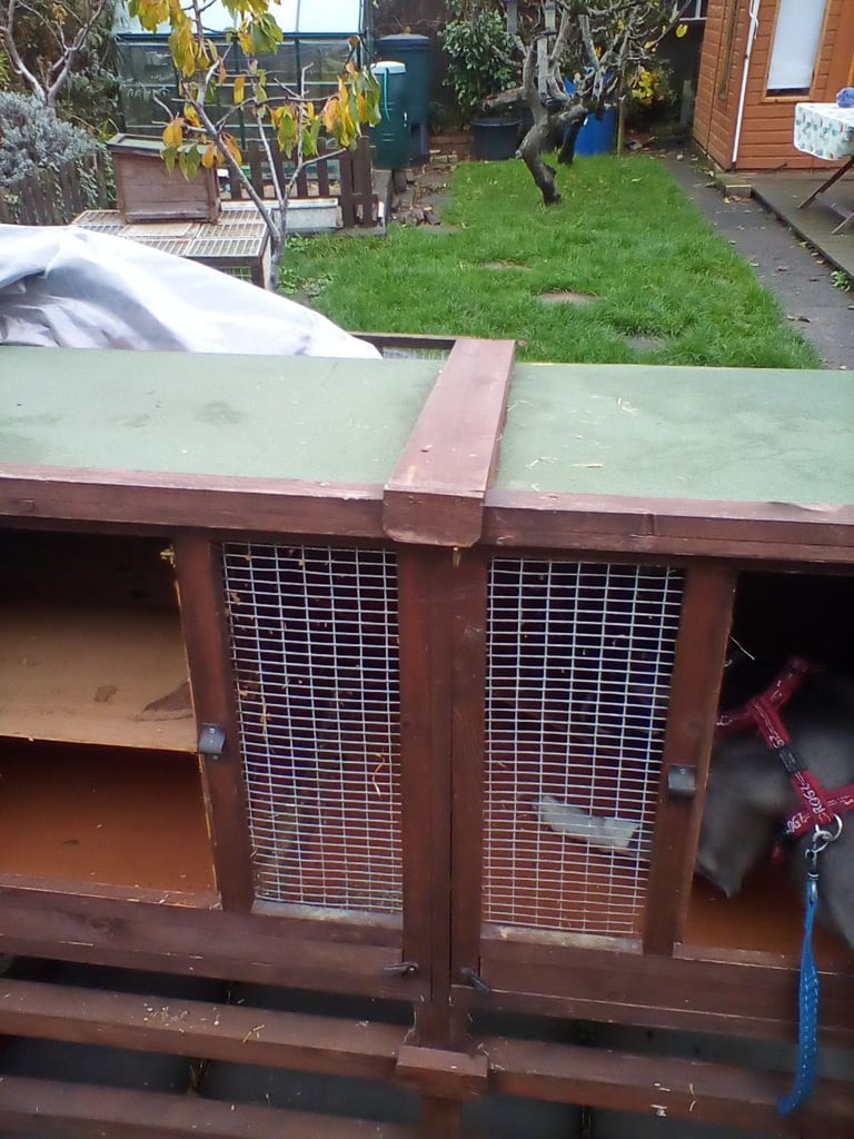 Guinea pig hutch