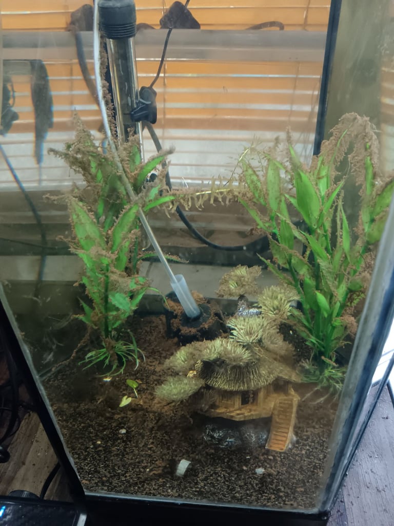 Fish tank sold has seen will need clean 