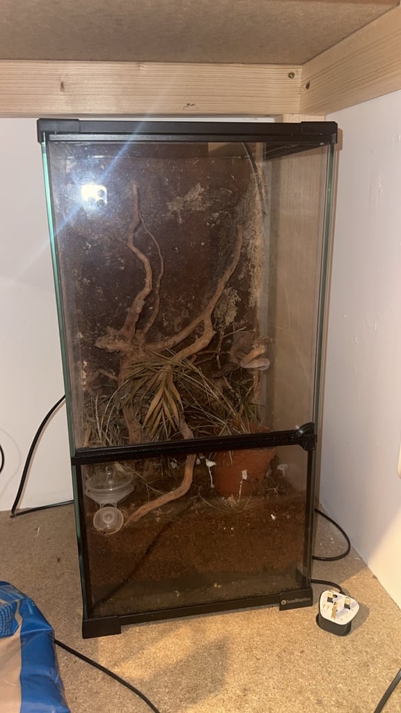 Exo Terra pro palladium