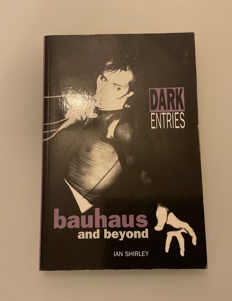 image for Dark Entries Bauhaus And Beyond by Ian Shirley 