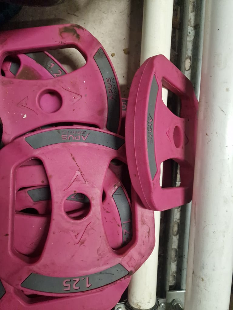 Studio plated and barbells 