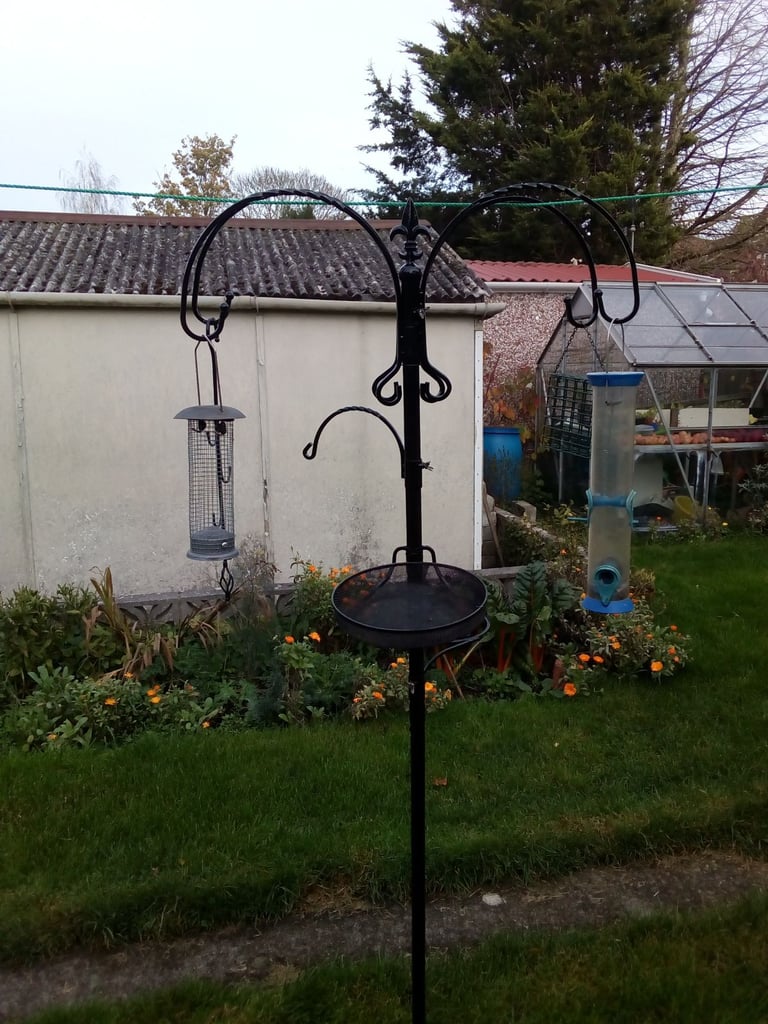 Bird Feeding Station