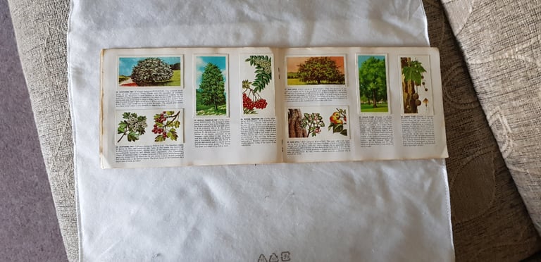 BROOKE-BOND PICTURE CARDS