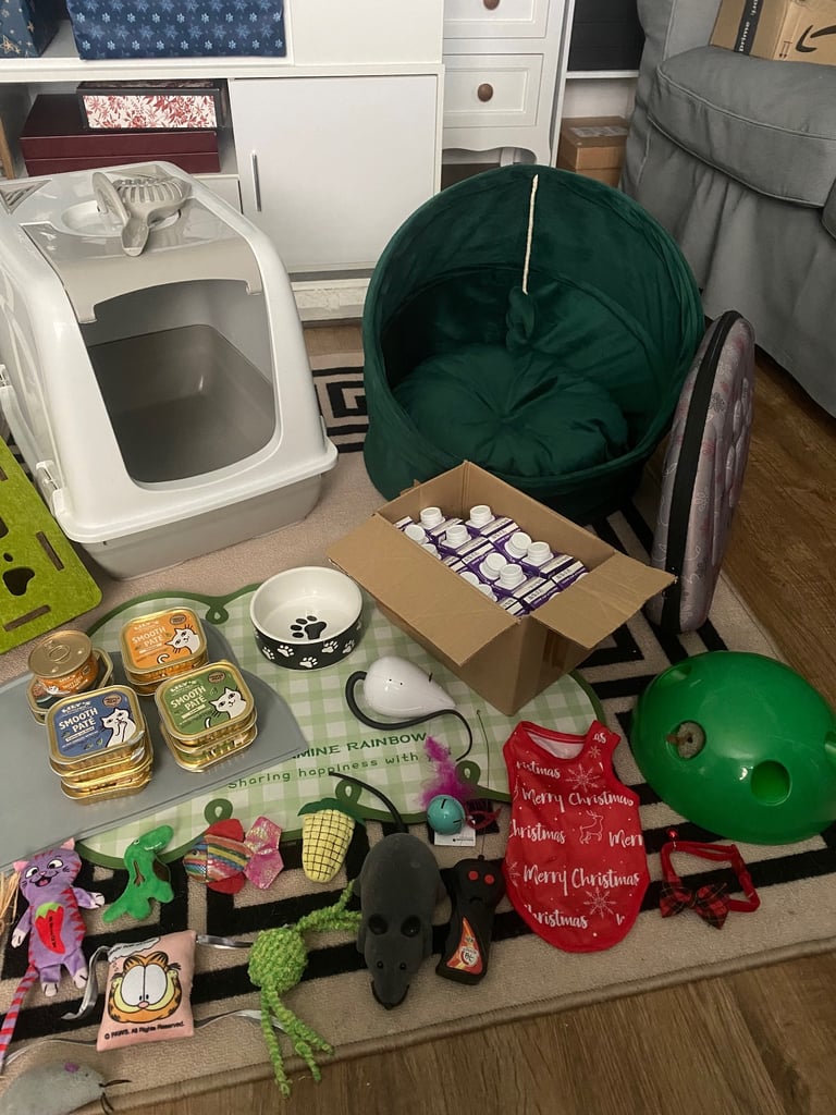 Bundle of various cat supplies/items 
