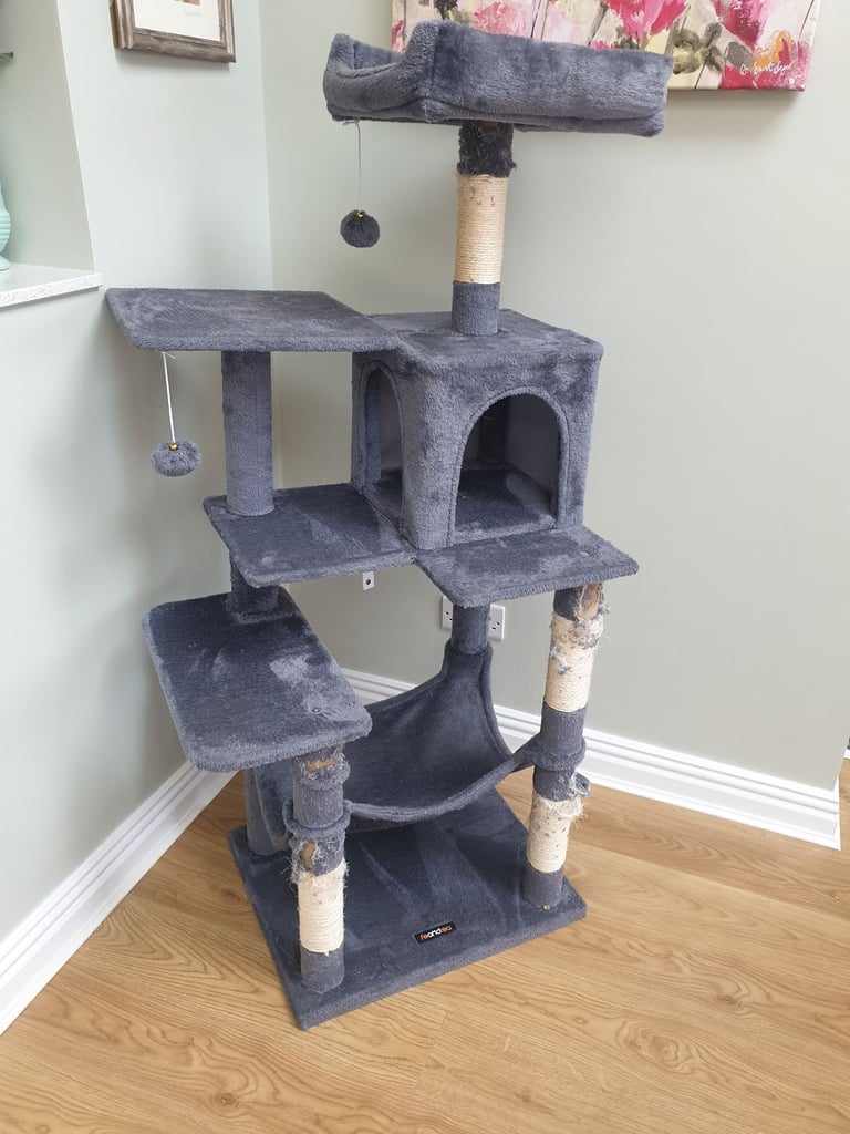 Cat Play Tree