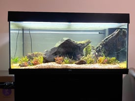 Juwel Rio 180 LED Aquarium - Fish tank - Used