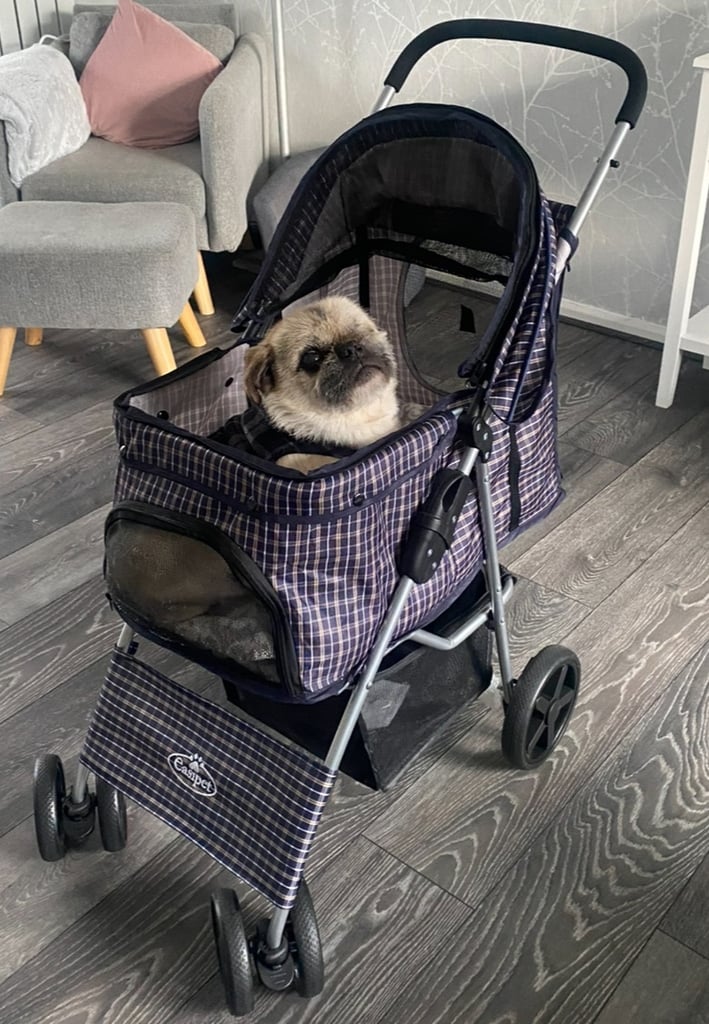 Dog Pram Compact Foldable Puppy Cat Buggy Manchester Stroller