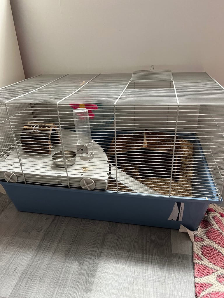 image for Syrian hamster/ House with accessories 