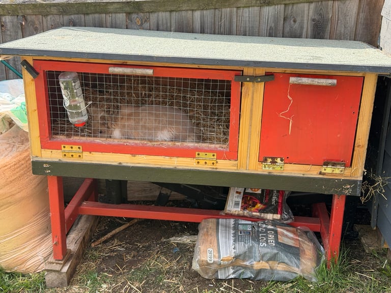 Rabbit hutch bedding and food 