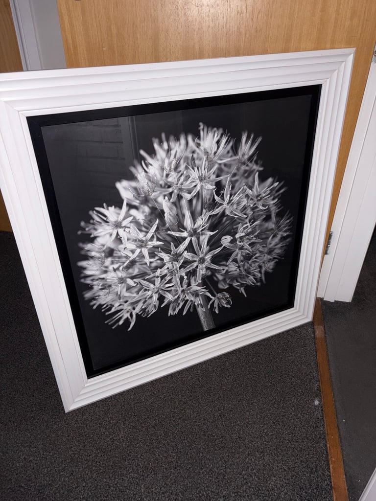 image for Stunning picture new