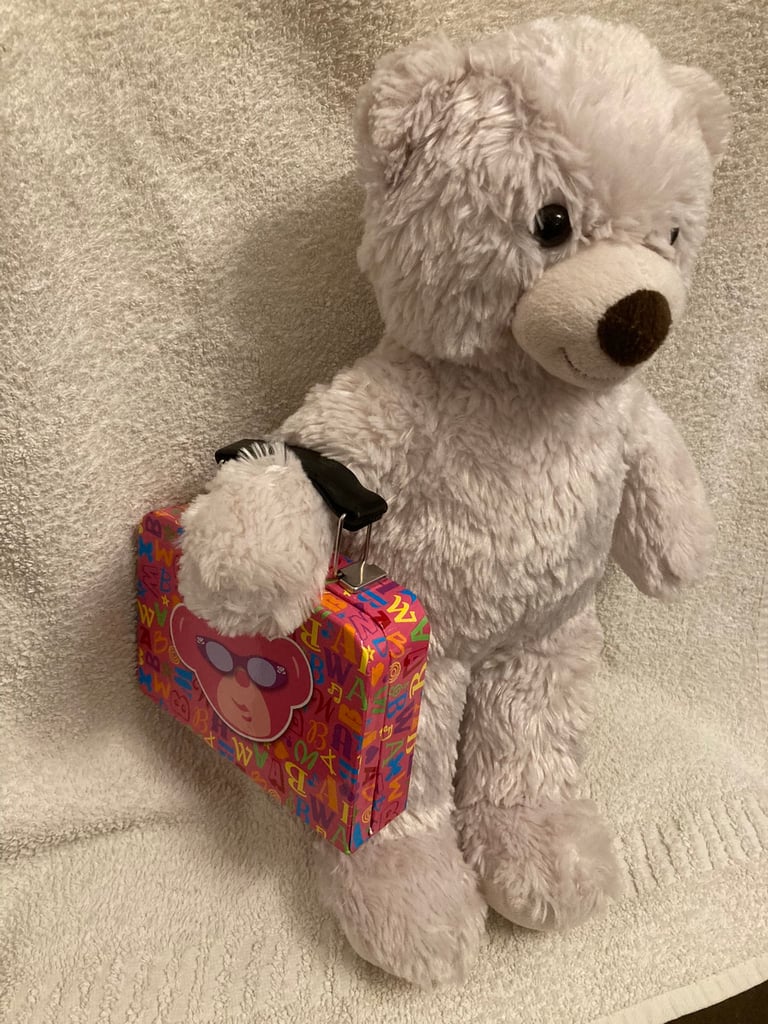 Build-A-Bear Accessories - Individually Priced - See Below