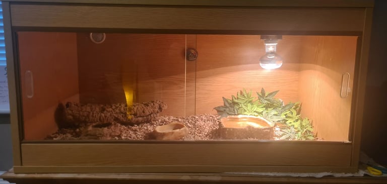 Reptile Vivarium set up 91cmx46cmx46cm