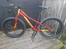 Specialized rip rock mountain bike