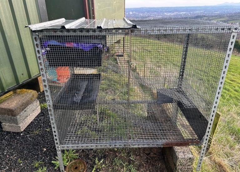 Galvanised cage 