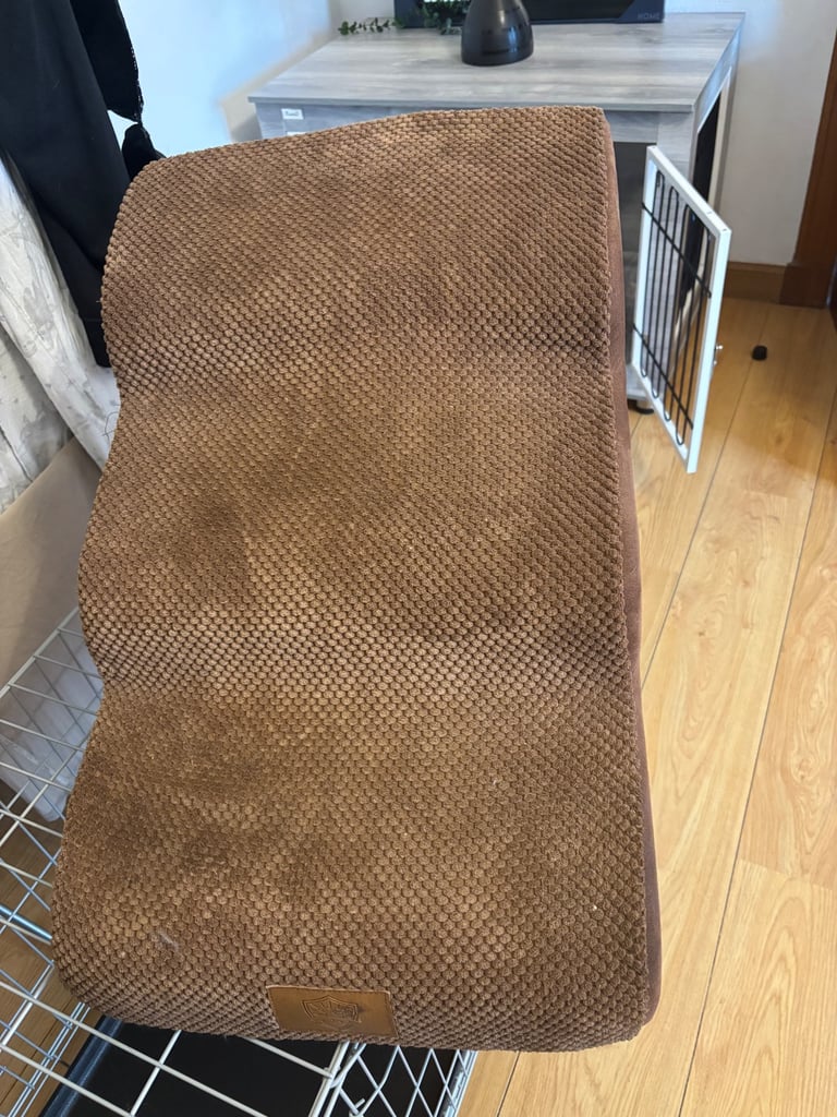 Dog stairs 
