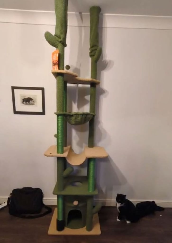 Tall Cat Tree - Ceiling height cat tower 