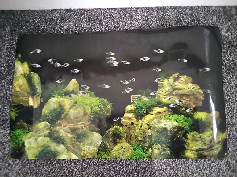 60L glass fish tank, with accessories. 