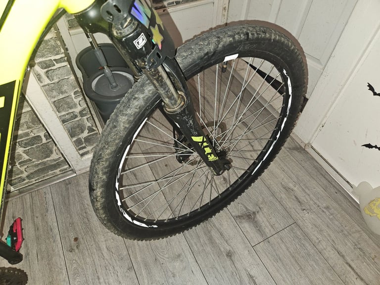 Orbea mountain bike