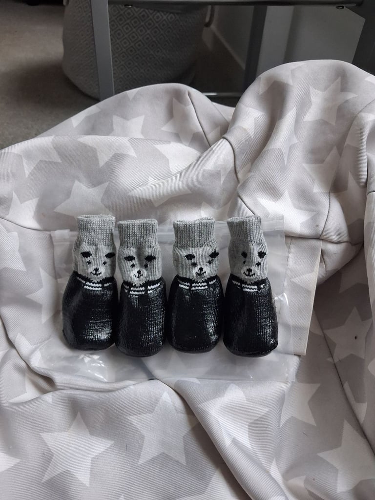 Dog unused sock/boot pack of 4for £3