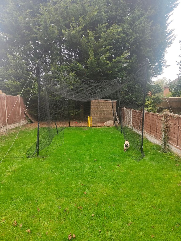 Cricket net for garden 
