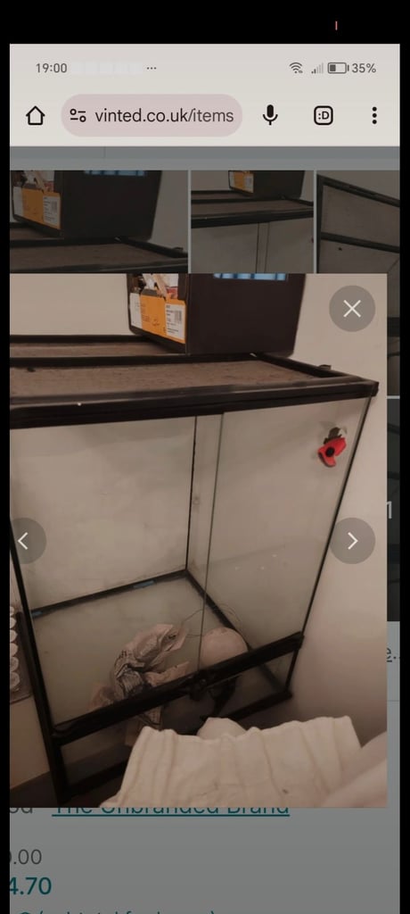 Glass Mouse cage. Collection from TS12 only 