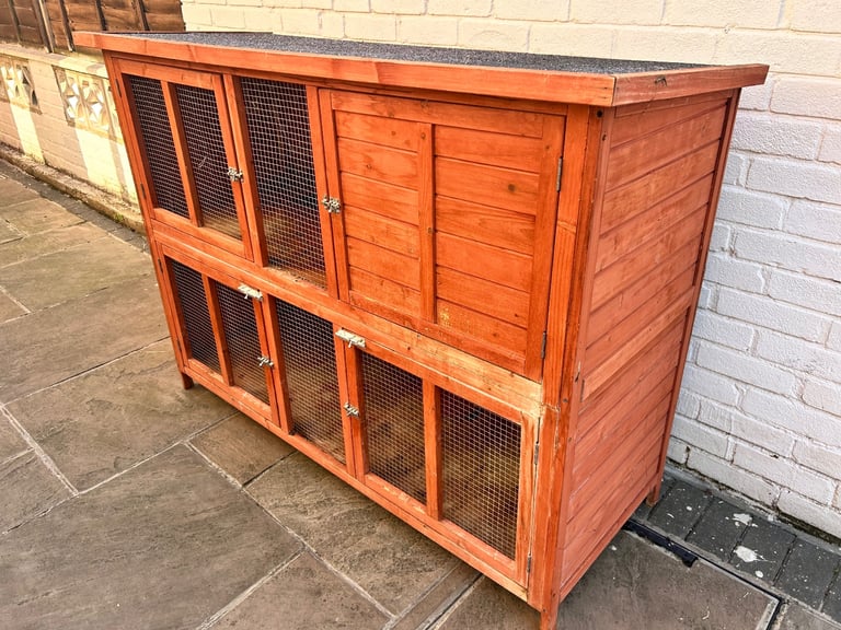 Rabbits and hutch 