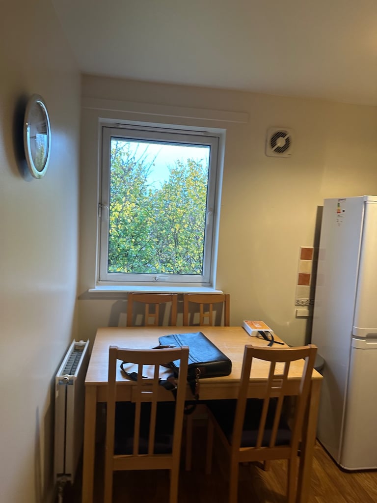 Excellent Location, Big Room Professional flatmates 