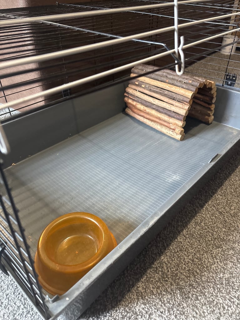 Animal cage 