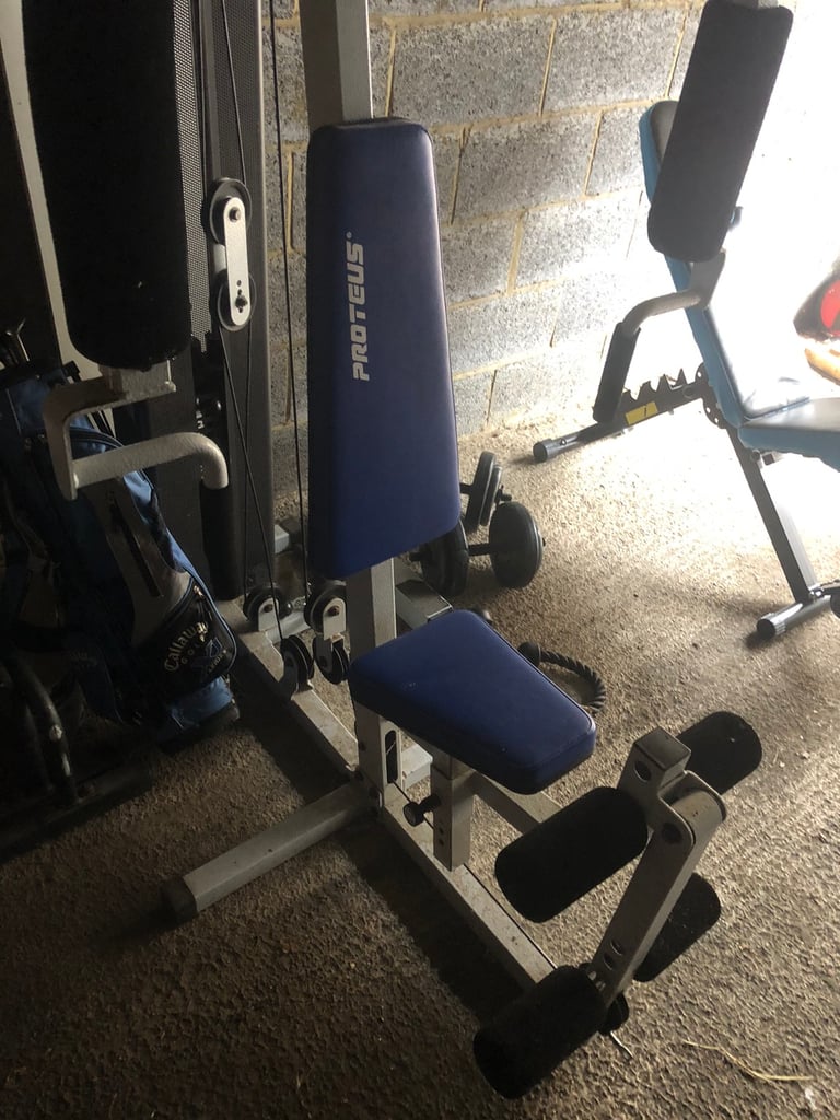 Proteus studio best sale 6 home gym