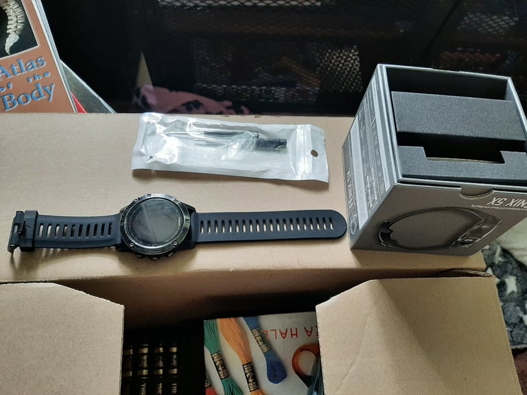 Garmin fenix 5x