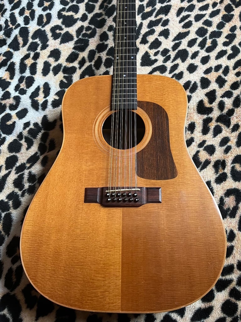 image for Washburn 12 string guitar D68 SWN