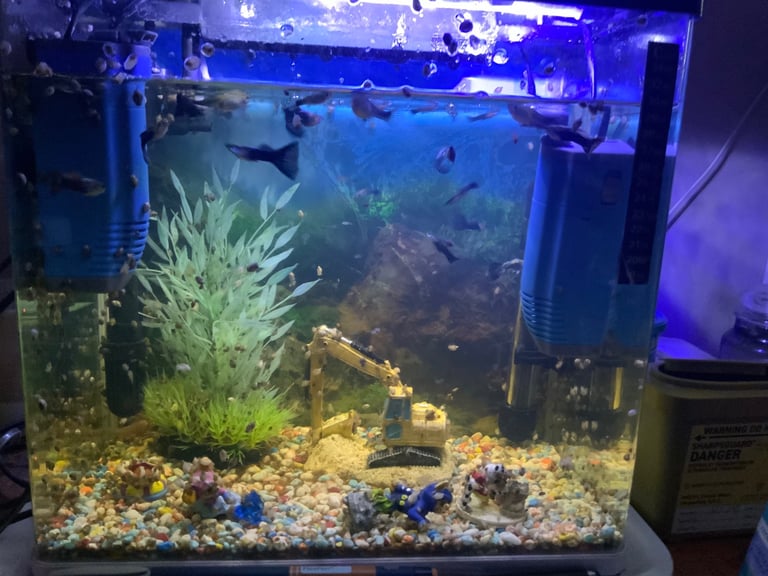 image for Full tropical fish tank set up with heater tank filters gravel lights plants and more 