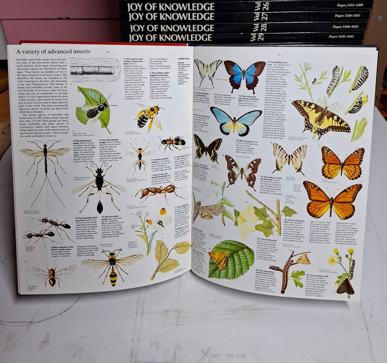 Joy of Knowledge Encyclopaedia 