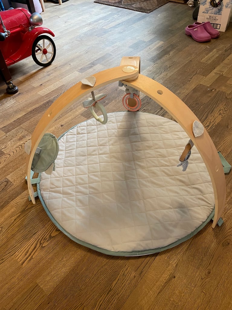 Ingenuity baby play gym & mat