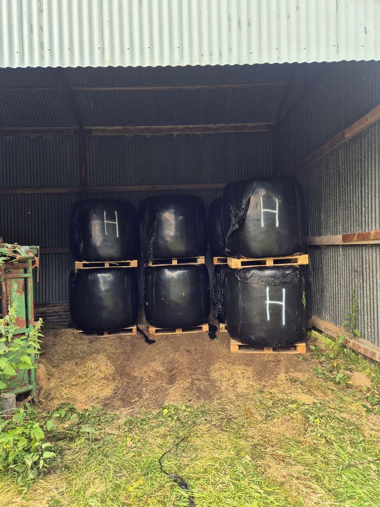 image for Wrapped hay / haylage 