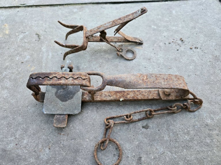 Vintage Gintrap and mole trap