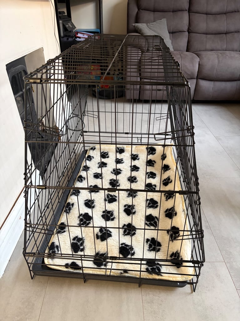 Dog ca boot crate