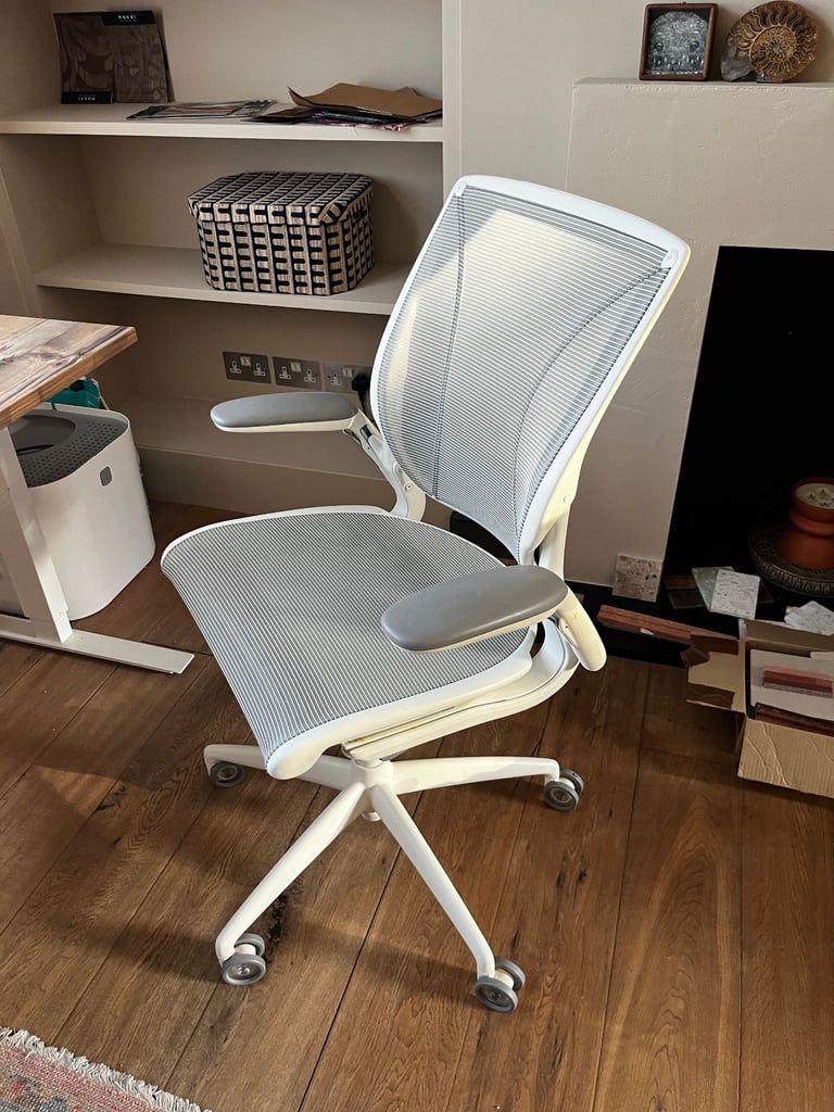 Humanscale Diffrient World Chair