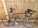 Specialized Allez Road Bike with Carbon Forks
