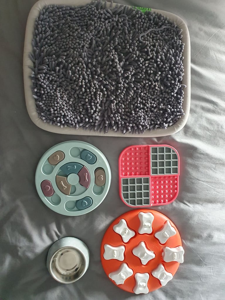 Assorted Dog Training Accessories