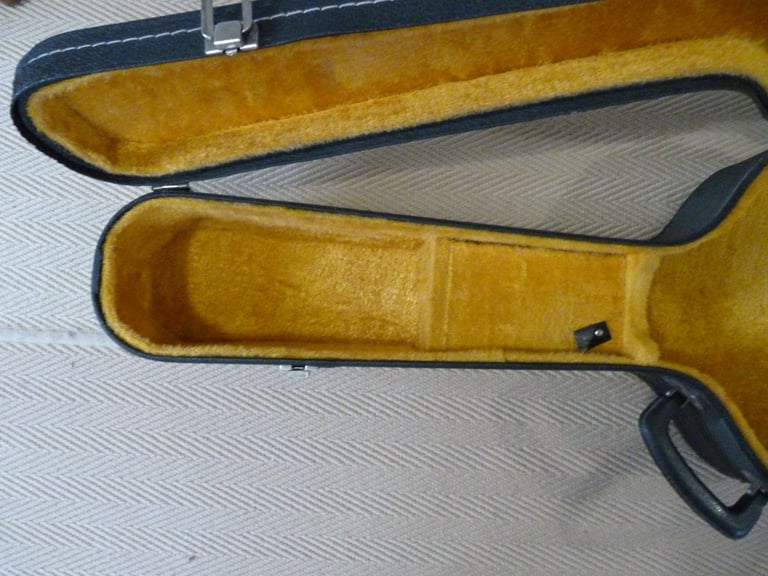 Lined Guitar hard case