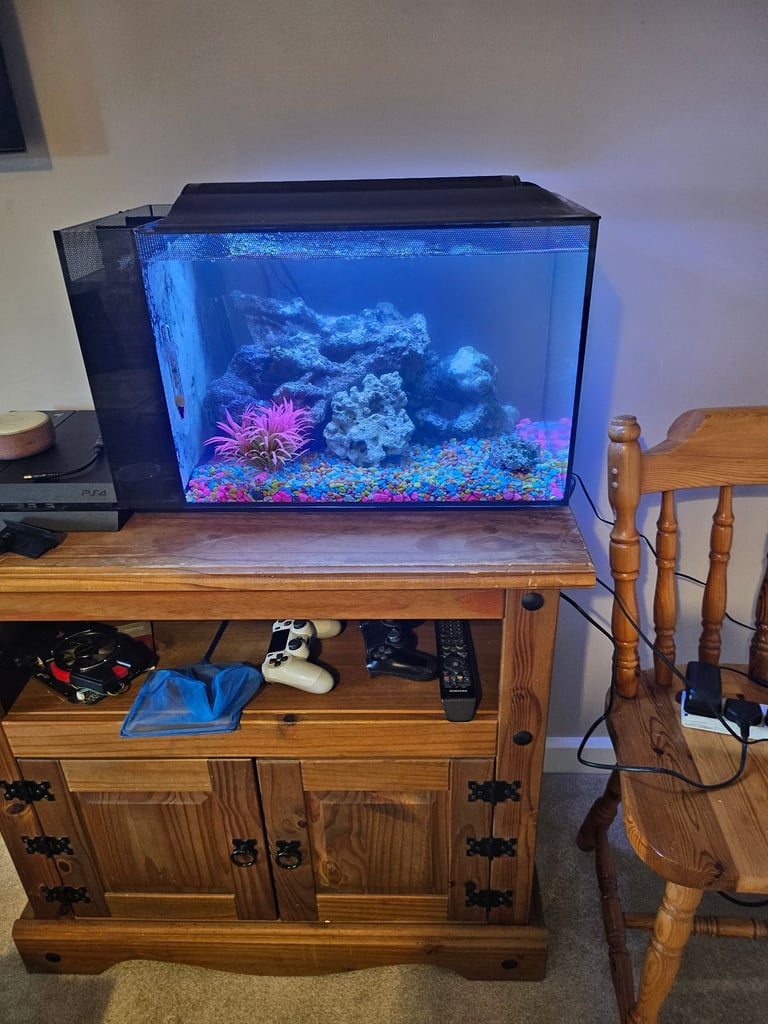 Fish tank 