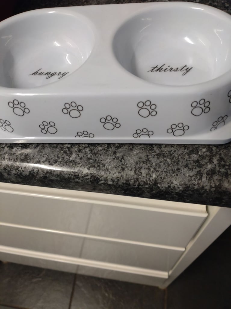 Brand new porcelain cats dish pick up only 