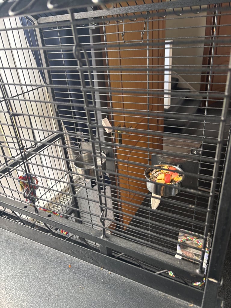 Parrot cage 